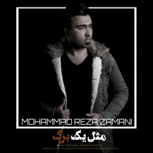 محمد رضا زمانی مثل یه برگ